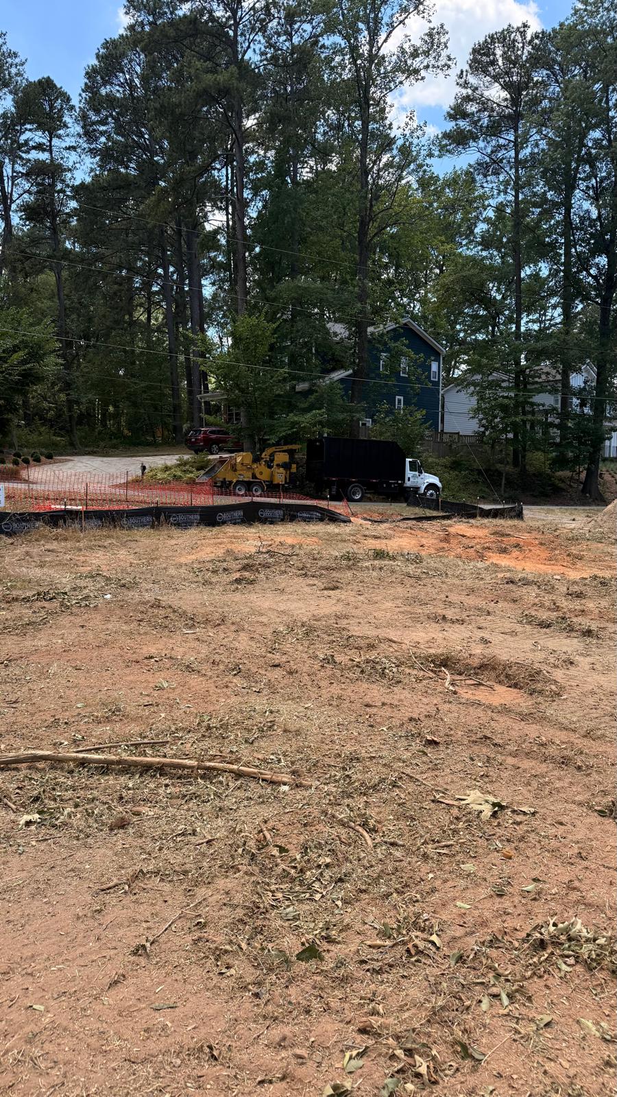 Tree removal in progress