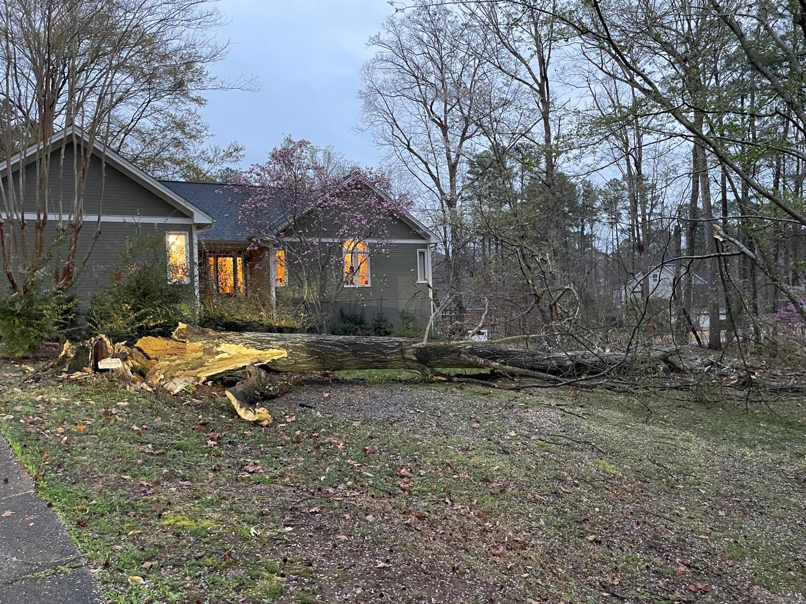 Storm debris and brush pile cleanup